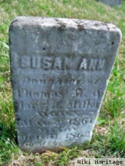 Susan Ann Miller