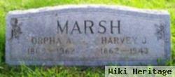 Harvey J Marsh