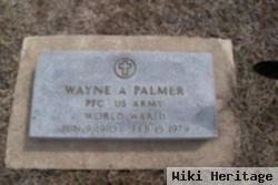 Wayne A Palmer