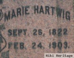 Marie Hartwig