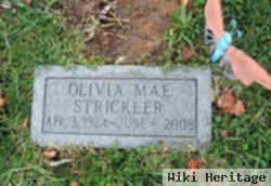 Olivia Mae Reynolds Strickler