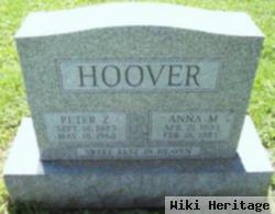 Peter Z Hoover