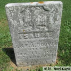 Esau A. Hoover