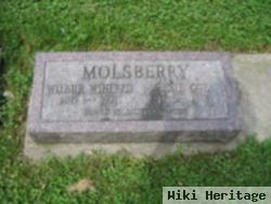 Wilbur Winfred Molsberry