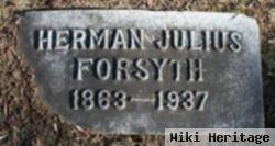 Herman Julius Forsyth