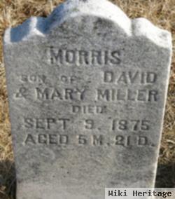 Morris Miller