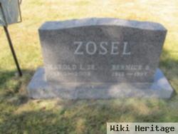 Harold Leon "hiede" Zosel, Sr