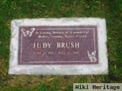 Judy L Brush