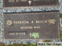 Patricia A Busch