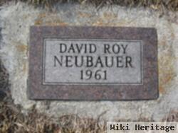 David Roy Neubauer