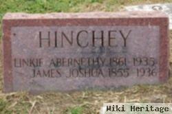 Anna Elizabeth "linkie" Abernethy Hinchey