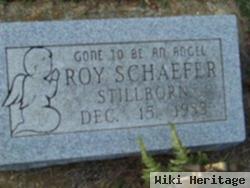 Roy Schaefer