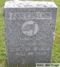 Ann E Dibble Palms