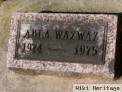 Abla Wazwaz