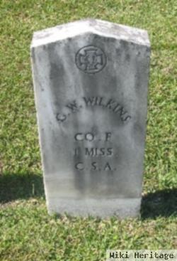 G. W. Wilkins