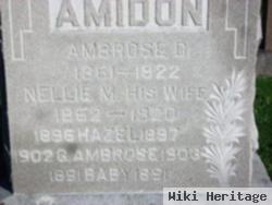 George Ambrose Amidon