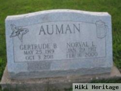 Norval L Auman