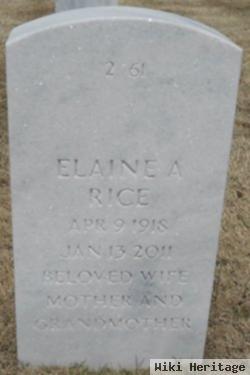 Elaine Allen Rice
