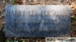 Harry Lee Ferguson