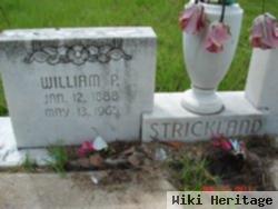 William Perry Strickland