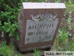 William J Murphy