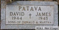 David Patava