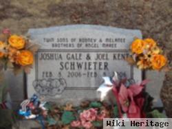 Joshua Gale Schwieter