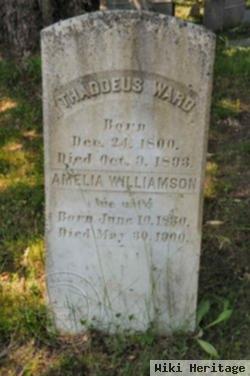 Amelia Williamson Ward