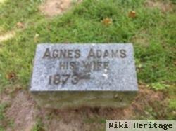 Agnes Adams Marsh