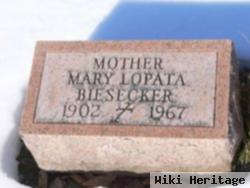 Mary Kocik Biesecker