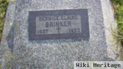 Bernice Elaine Brinker