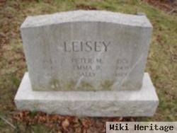 Peter M Leisey