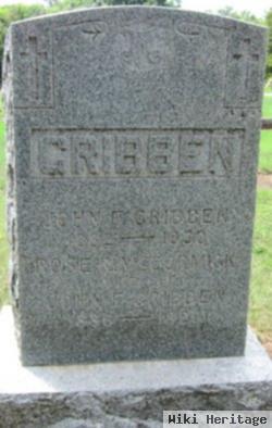 John F Gribben