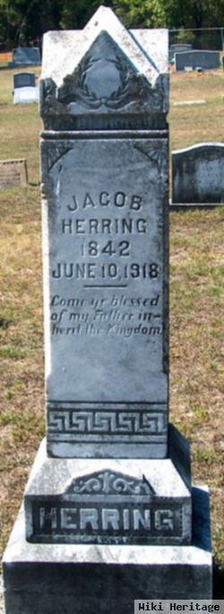 Jacob Peter Herring, Iii