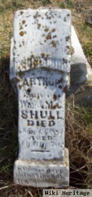 Arthur Shull