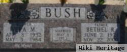 Bethel R Bush