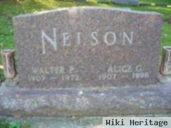 Walter Peter Nelson