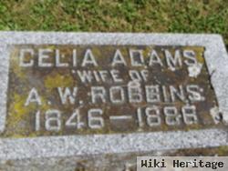 Delia Adams Robbins