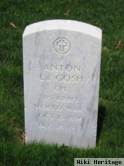 Anton Lagosh