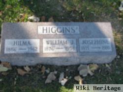 William J. Higgins