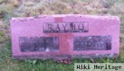 Allen J Raymo