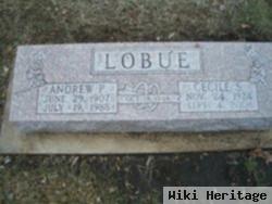 Andrew P. Lobue