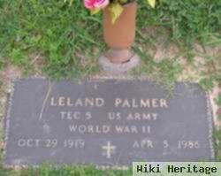 Leland Palmer