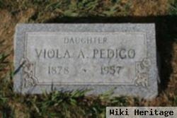 Viola Pedigo