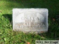 Cisley Ann Marshall Burson