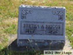 Bertha Ann Beard Briggs