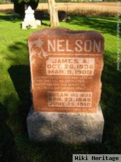 James A. Nelson