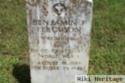 Benjamin F. Ferguson