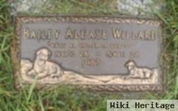 Bailey Alease Willard