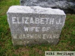 Elizabeth J. Evans